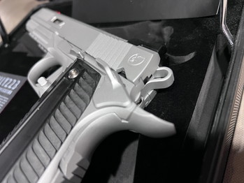 Image 3 for RWA Nighthawk Agent 2 custom cerakote silver cnc alluminum