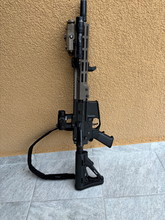 Imagen para Ptw Urgi 10.5