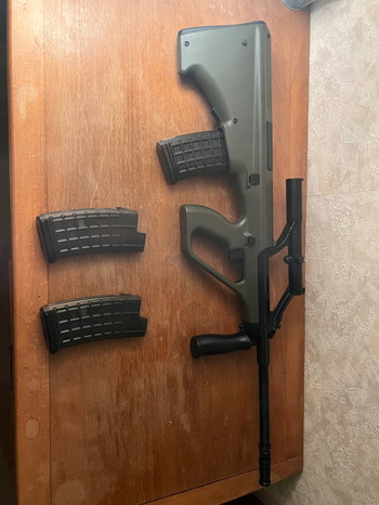 Image 2 for Aug a1 snow Wolf