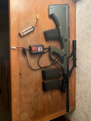 Image 3 for Aug a1 snow Wolf