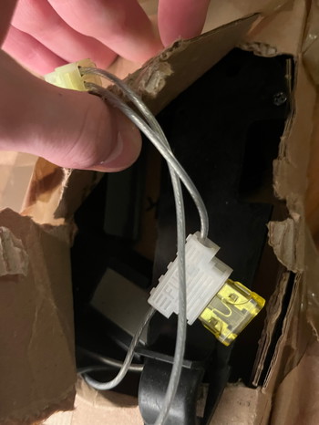 Image 4 for Aug a1 snow Wolf