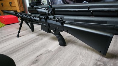 Image for SR25 Modifier en DMR Anti-Sniper avec un Titan V2 Expert