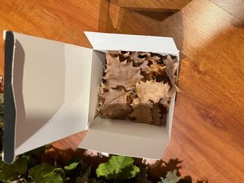 Imagen 4 de 3D shoulder + boonie leaf suit