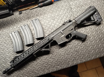 Imagen 2 de VFC avalon VR16 M4