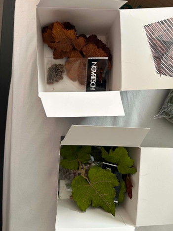 Image 2 for Ghilie suit/ leaf suit met extra toebehoren.