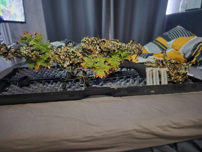 Image pour Novritsch SSG 10-A1 + full ghille op replica.