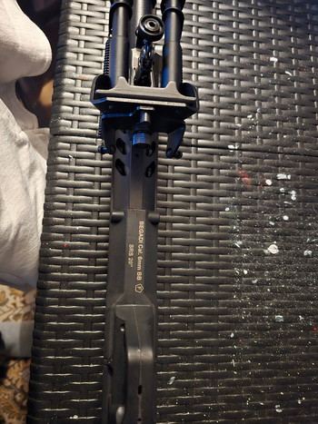 Imagen 5 de Begadi Silverback SRS 20