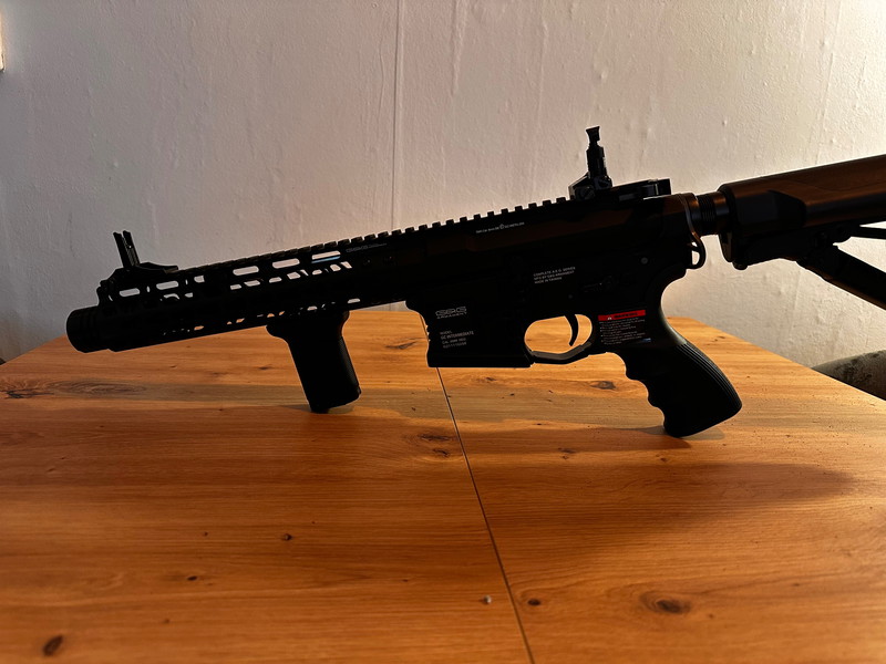 Bild 1 für G&G GC16 Wild Hog 9