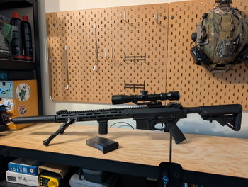 Imagen 4 de G&G SR25 E2 APC - Kythera & CGS CO²