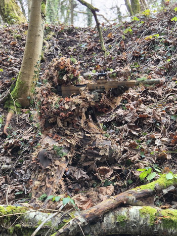 Image 2 pour KMCS dark forrest L