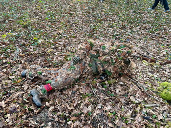 Image 3 pour KMCS dark forrest L