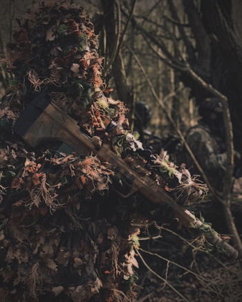Image 4 pour KMCS dark forrest L
