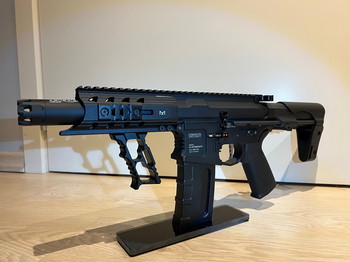 Image 4 for G&G ARP 556 Full custom Black GATE