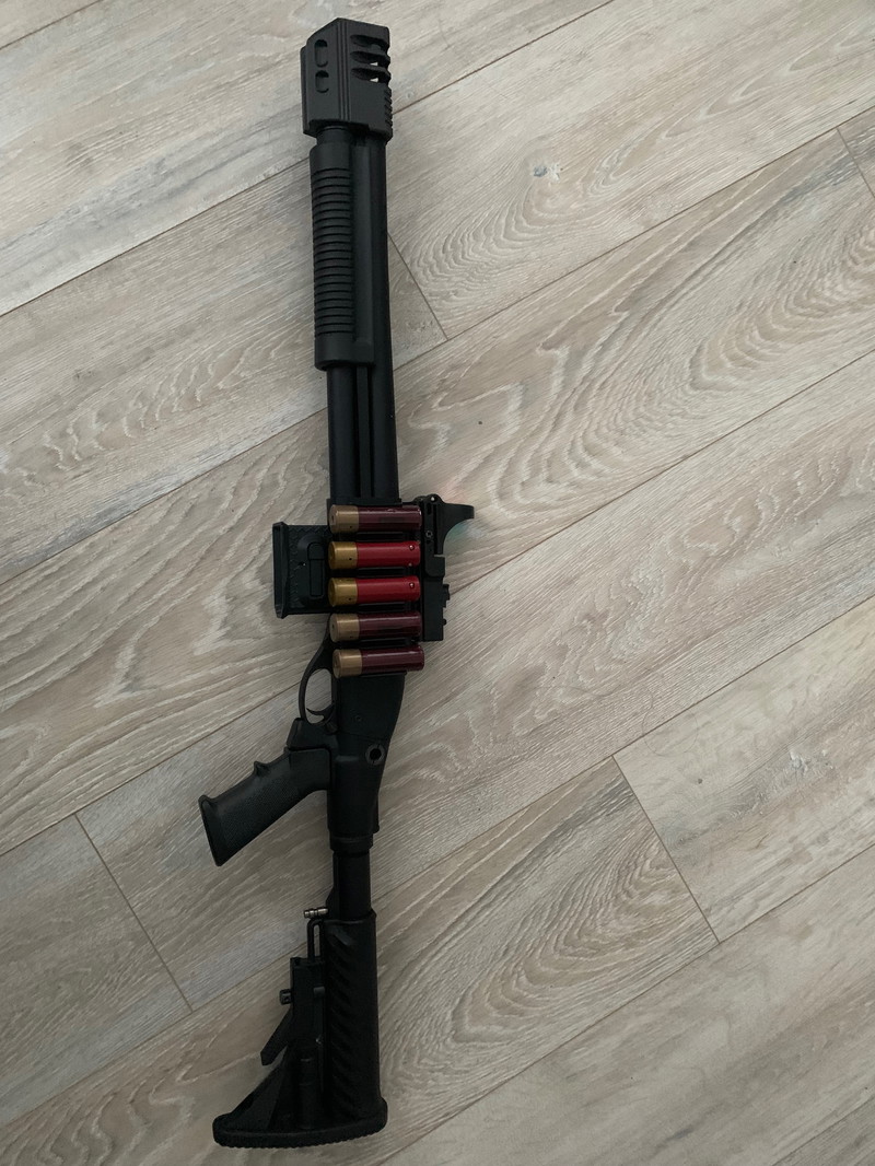 Image 1 for Golden eagle m870