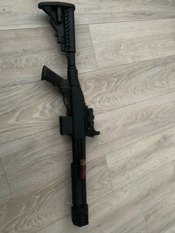 Image 4 for Golden eagle m870