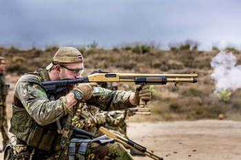 Image 2 pour Gezocht: Golden Eagle M870