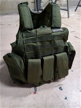 Image for Swiss arms vest OD