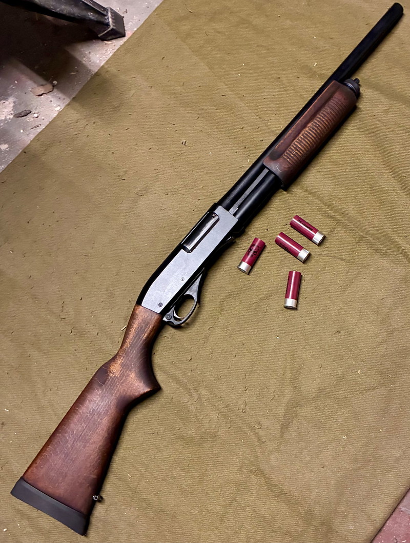 Bild 1 für Dominator DM870 APS Shell converted!