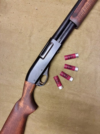 Bild 4 für Dominator DM870 APS Shell converted!