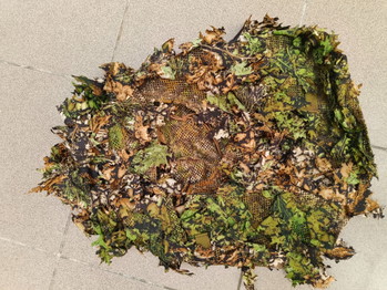 Image 2 for Novritsch Amber-ghillie