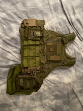Image pour DACC plate carrier OD