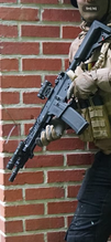 Imagen para Specna arms sa-p20
