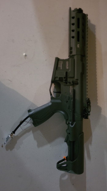 Image 2 for Arp 556 met een polarstar kythera engine