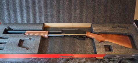 Imagen para Shotgun van Golden Eagle!