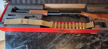 Image 2 for Shotgun van Golden Eagle!