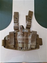 Image for Holster Tan