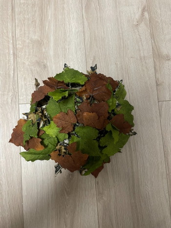 Image 4 for ghillie novritsch