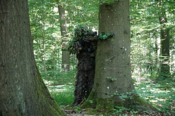 Image 3 for Full Upgraded TM vsr10