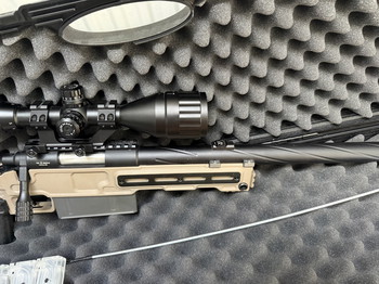 Image 3 pour SSG10 A3 Maple leaf tan.