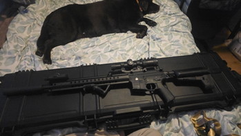 Image 2 for Krytac WarSport LVOA-C