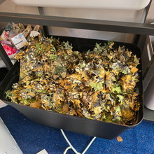Imagen para Complete Novritsch Ghillie Suit - Kleur AMBER