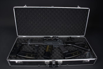 Image 2 for Sig552 AEG (+ Case, 1 High Cap, 3 Mid Cap, Magnifier, Stability handle)