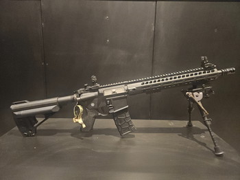 Imagen 2 de DMR build VFC Avalon saber