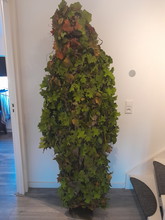 Bild für Chillies suit met ssx 23