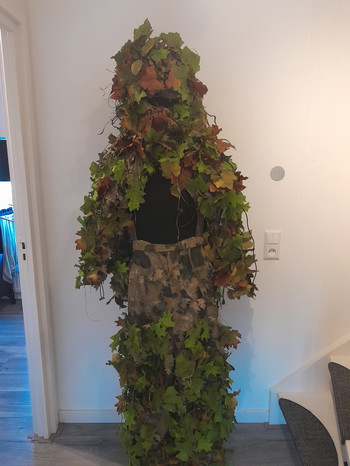 Bild 2 für Chillies suit met ssx 23