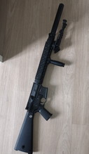 Image pour Sr 25 DMR
