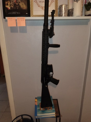 Image 5 pour Sr 25 DMR