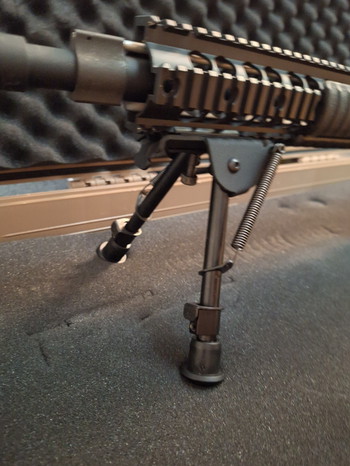 Image 4 for Gg sr25 met upgrades scope en koffer