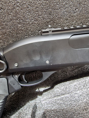 Image 5 pour Golden Eagle Gas Shotgun with Shells