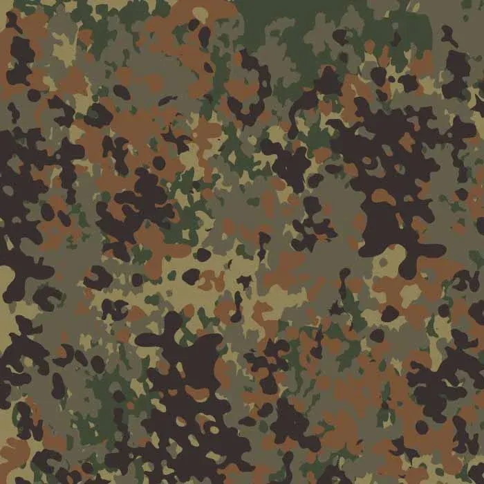 Image 1 for Op zoek naar flecktarn plate carrier (of andere gear)