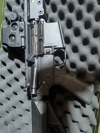 Imagen 4 de TM MWS build