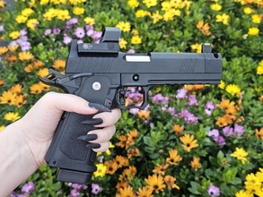 Image for Goth baddy Nighthawk build Hicappa