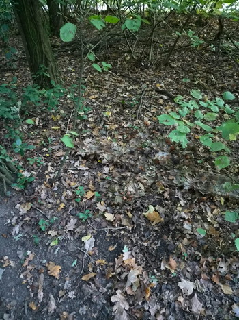 Bild 3 für Pre made custom ghillie for WINTER