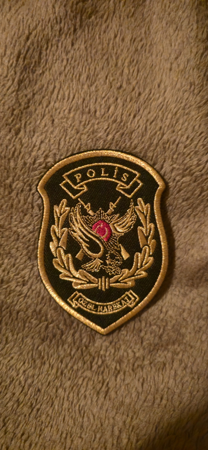 Image 1 for Turkish Swat Team patch 