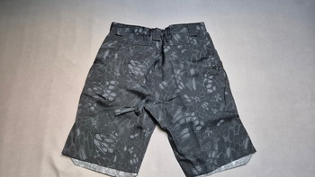 Imagen 2 de Camo Shorts