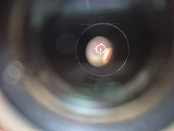 Image 4 for Eotech met magnifier
